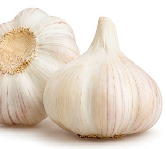 Garlic