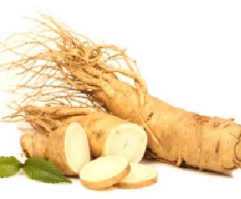 Ginseng