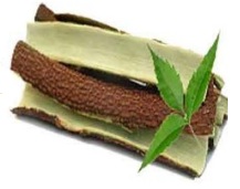 neem bark