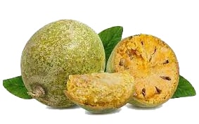 Aegle marmelos