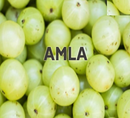 https://nutricare.in/wp-content/uploads/2021/08/Amla.jpg