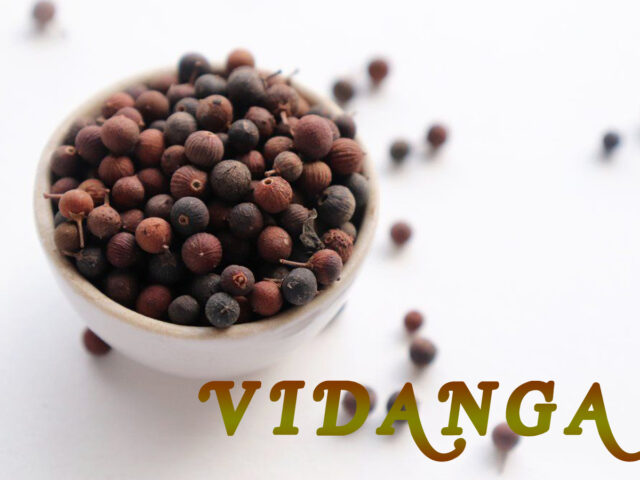 https://nutricare.in/wp-content/uploads/2021/09/Vidanga-640x480.jpg