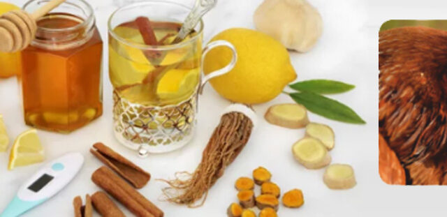 https://nutricare.in/wp-content/uploads/2021/12/fa1-640x311.jpg